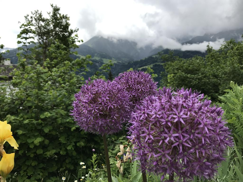 Ferienwohnung Laax Mit Traumblick, Grossem Balkon Und Terrasse 외부 사진